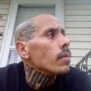 Meet your Posher, Armando